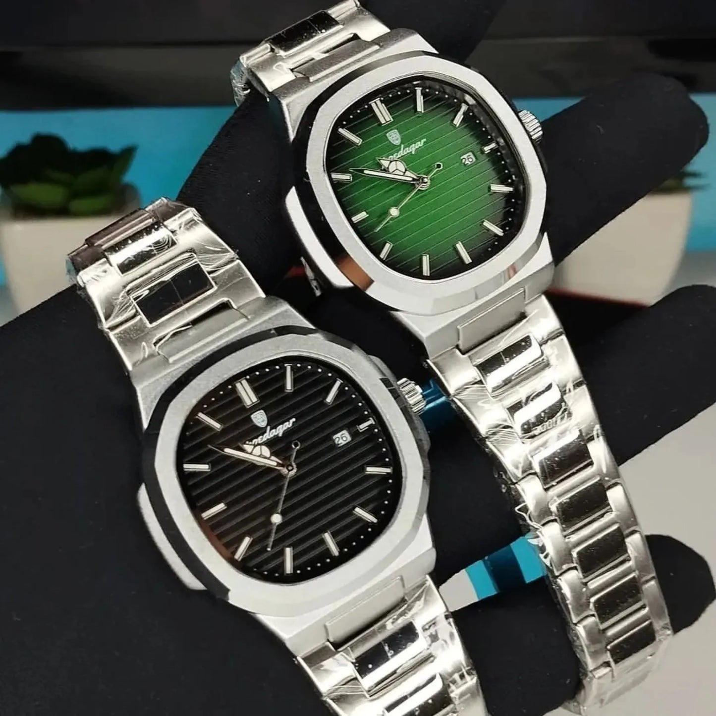 Montrisse Nautilus